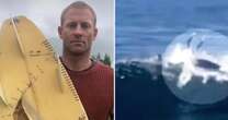 'Two great white sharks nearly ate me alive – but my life's better off for it'