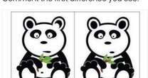 Only those with perfect observation skills can spot differences in panda pic