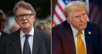 Peter Mandelson: Why Britain has picked the 'Prince of Darkness' to be its 'Trump Whisperer'