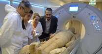 Ancient disease which wiped out 50million people discovered in DNA of Egyptian mummy