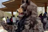 Actors hired by zoo to pretend to be animals made to climb trees and catch fish