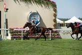 Award-winning horse racing tipster Jason Heavey names his best bets this week and beyond