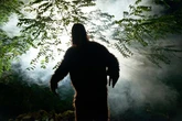 Bigfoot's recent sightings as fears grow creature is 'rearing a family' in woods