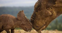 opinion'I went hunting for dinosaurs in the surreal Canadian Badlands'