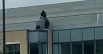 LiveKings Hill LIVE as 'men in balaclavas' scale huge building with armed police rushing to scene