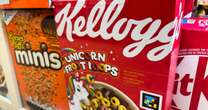 Millionaire Kellogg CEO branded 'fool' for saying poor families should feed kids cereal for dinner