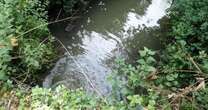 Southern Water fined just 0.117% of profits after being caught pouring raw sewage in river