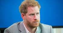 Prince Harry warned officials that he's 'at greater risk' than Diana amid security fightPrince Harry