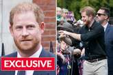 Prince Harry 'upset' by Home Office ruling – but it's an 'excuse to keep children away'