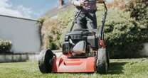 Lawnmower task all gardeners should do now to avoid stunting grass growth for summerExpert Advice