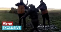 Inside violent reality of fox hunting as saboteurs risk their lives to stop the blood sport