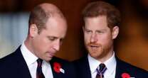 Prince William's devastating text to Prince Harry that left him at a loss over next steps