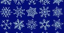 Only people with crystal clear vision can spot matching snowflakes in just 30 seconds