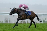 'He looked a smart prospect on his only start' - Jason Heavey's tips on day two of St Leger meeting