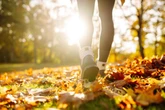 Autumn equinox and when the clocks will go back in 2025