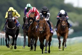 'He could have a big future' – Friday's racing tips including the evening meeting at Haydock