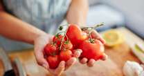 Shopper's horror as tomato 'full of worms' – turns out they're something very different