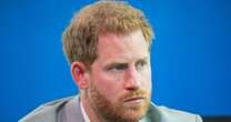 Prince Harry left 'furious' after devastating leak and only 'two things could calm him'