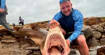 Brit fisherman savaged by 300lb shark as bite rips through three arteries