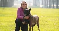 Crufts 2025: Meet the brave three-legged police dog behind this year's hero award