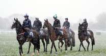 Cheltenham snow chaos as Day Two of racing festival hit by surprise weather