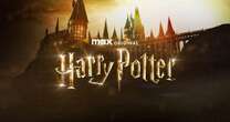 New Harry Potter TV series - every actor announced for reboot so far