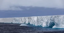 World's largest iceberg bigger than London could now cause disaster for penguins