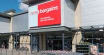 Home Bargains £30 wall art 'transforms' your garden as fans say 'mine is great'