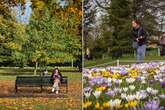 UK weather forecast predict end of subzero freeze as Brits to see 14C increase in days