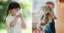 Habit all children do that makes hay fever worse and trick to prevent it