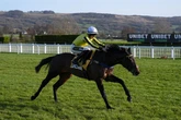 'I fancy hurdling star to win famous Chester flat racing handicap'