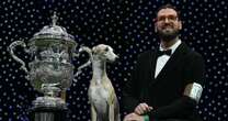 What does Crufts winner get as Best in Show dog whippet Miuccia leaves fans divided