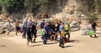Horror shark attack leaves woman fighting for life after having huge chunk bitten off leg