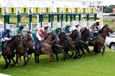 Course specialist to win for seventh time at track – Jason Heavey's Wednesday racing tips