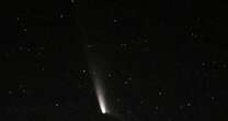 How to see Comet A3 if you missed it - but you only have days left