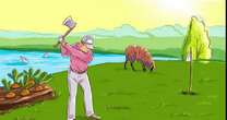 Only 'genius level' people can spot huge mistakes in golf image in less than 5 secondsBrainteasers