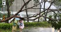 Typhoon Krathon horror brings severe floods and rips metal roofs off buildings