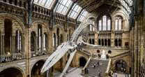 Natural History and Science museums security guards vote to strike over wagesMuseums