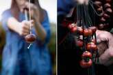 Fury at Conkers crackdown as 'safety conscious' organisers blame insurance costs