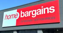 Home Bargains new 'cute' £20 items are a 'beautiful feature in your garden'