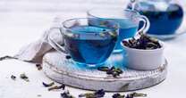 Drinking 'blue' tea helps drop cholesterol, 'block' diabetes and improve skin