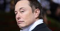 Elon Musk controversy sees more scientists back Royal Society ban and crisis meeting