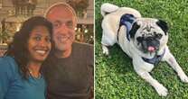 Machete-wielding robbers pin RAF hero's wife against wall before stealing dog