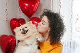 Young Brits shun Valentine's Day romance as most want to cuddle up on sofa with dog