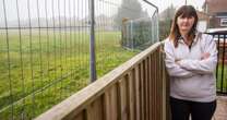 'We feel like hamsters in our own homes after metal fence appeared out of the blue'