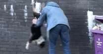 Horror moment man grabs dog by legs and throws it through air in street