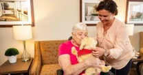 Robot dogs are bringing comfort to care home residents with dementia