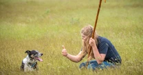 Deaf sheepdog forced to retire learns sign language to return to work tending flocks