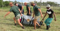 Zookeeper mauled to death by Siberian tiger when electric fence was turned off