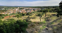 Two-year-old boy found alive in scrubland 36 hours after vanishing from his bed